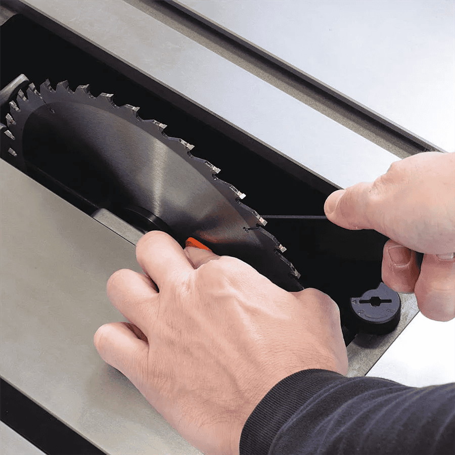 Sega Circolare Laguna Fusion 1