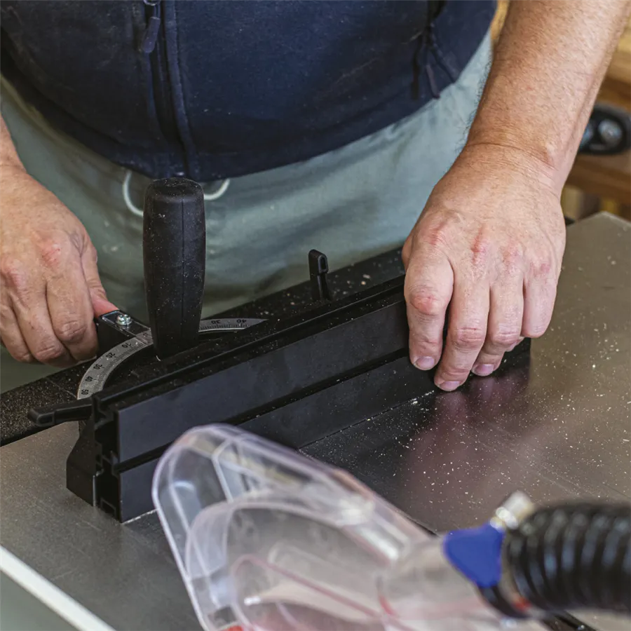 Sega Circolare Laguna Fusion 2