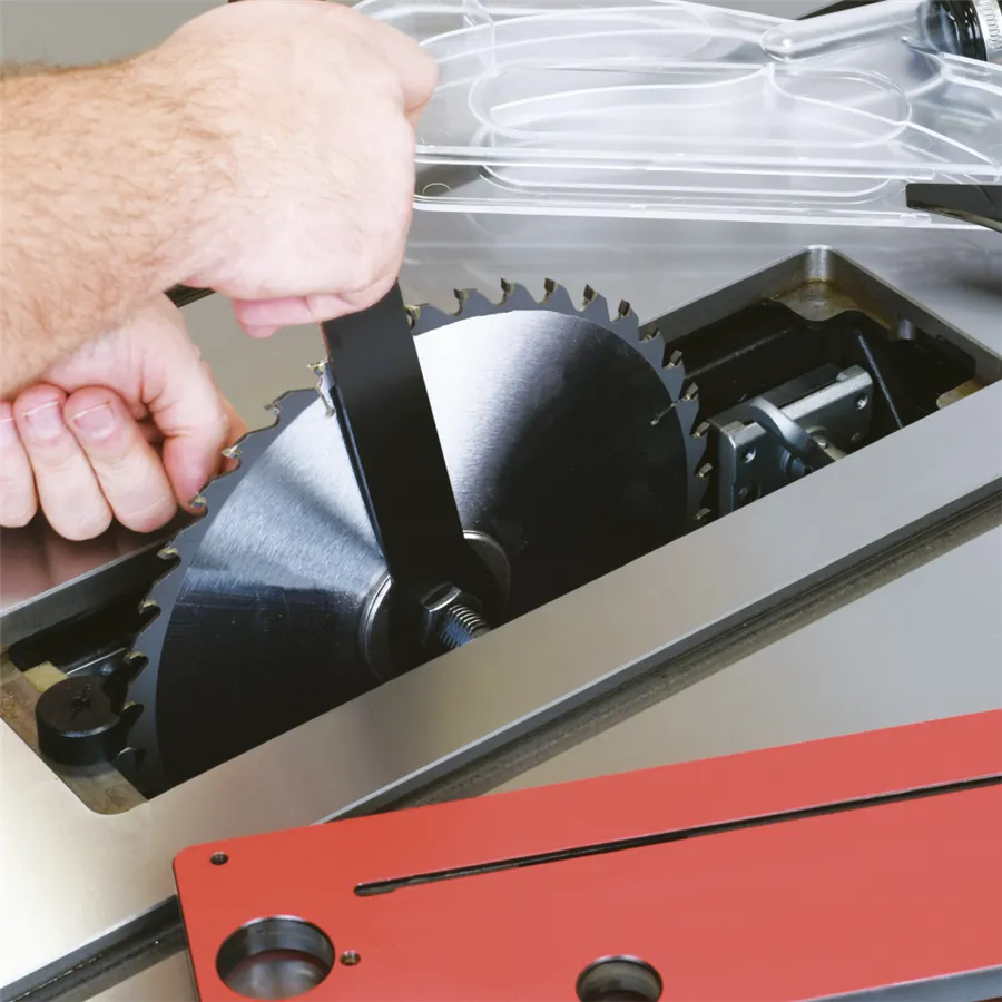 Sega Circolare Laguna Fusion 2