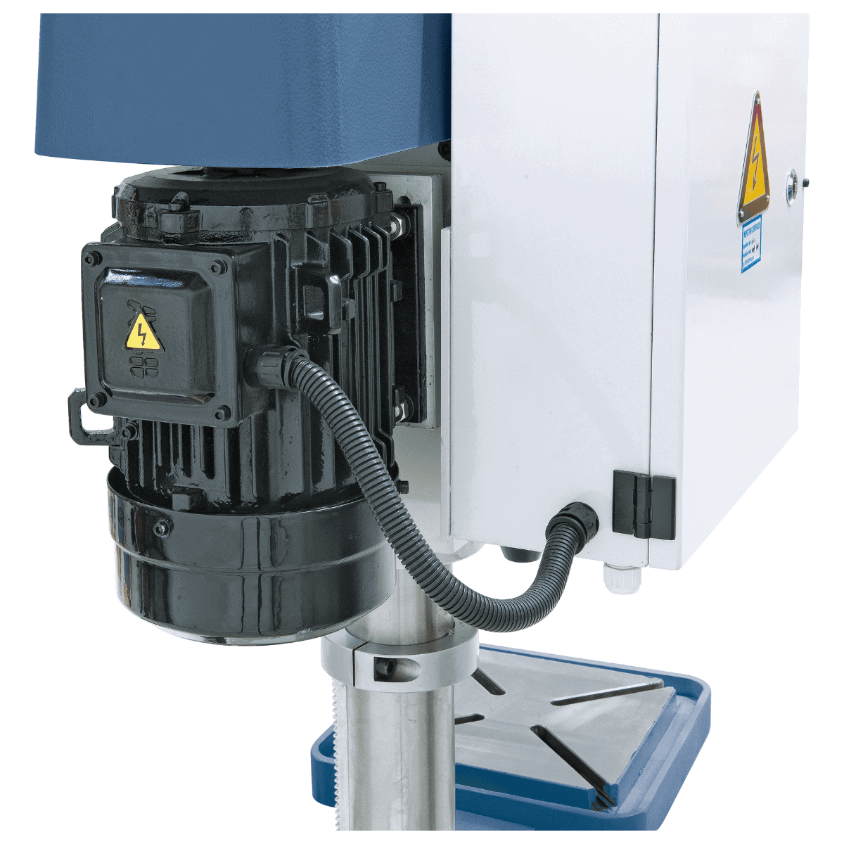 Bernardo Trapano da banco DMT 20